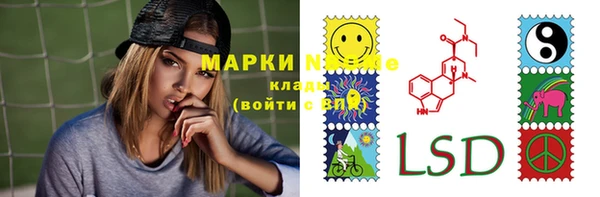ГАЛЛЮЦИНОГЕННЫЕ ГРИБЫ Пестово