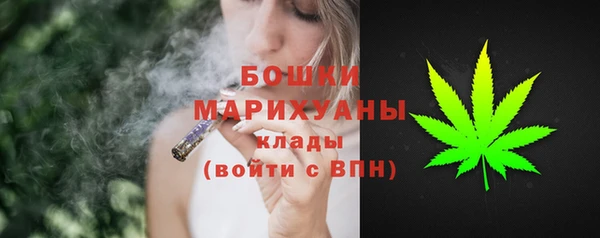 ГАЛЛЮЦИНОГЕННЫЕ ГРИБЫ Пестово