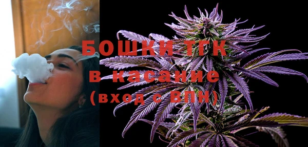ГАЛЛЮЦИНОГЕННЫЕ ГРИБЫ Пестово