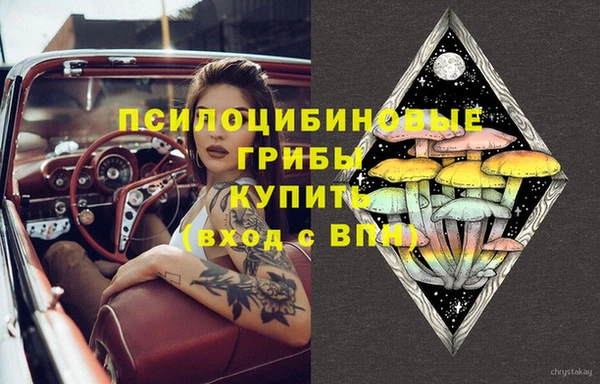 ГАЛЛЮЦИНОГЕННЫЕ ГРИБЫ Пестово