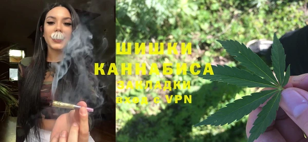 ГАЛЛЮЦИНОГЕННЫЕ ГРИБЫ Пестово